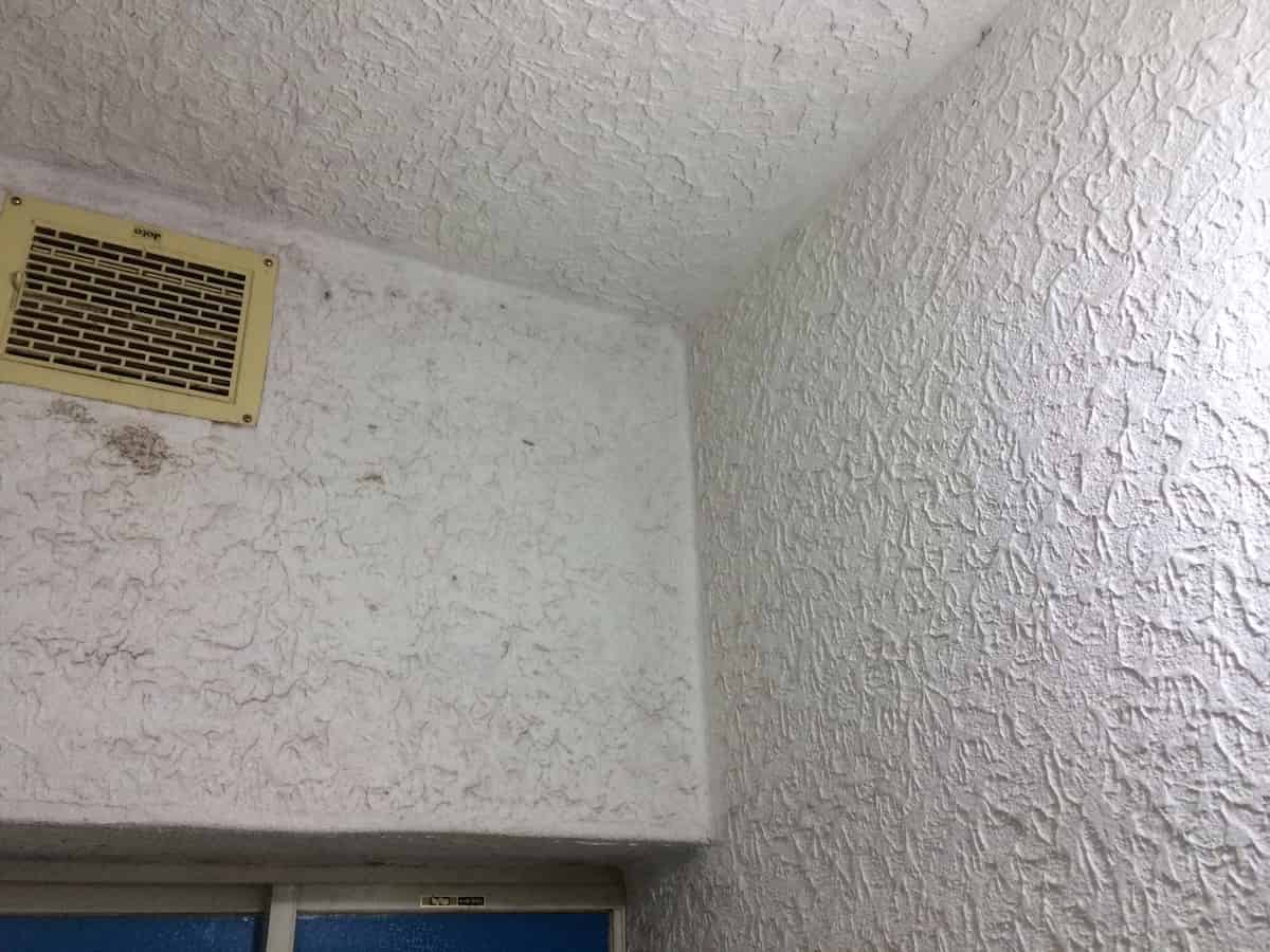 ペンキで塗装する前のカビで黒ずんだ浴室のモルタル壁（セメント・コンクリート）