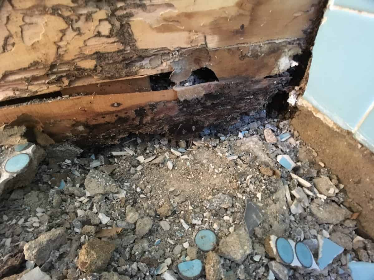 腐食とシロアリ被害のあるお風呂場まわりの木材
